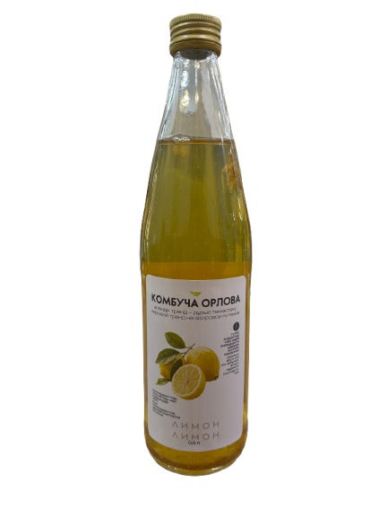 17% Ragout Камбуча Клубника, шт