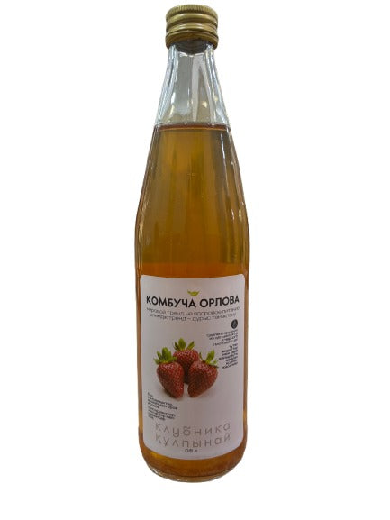 17% Ragout Камбуча Классика , шт