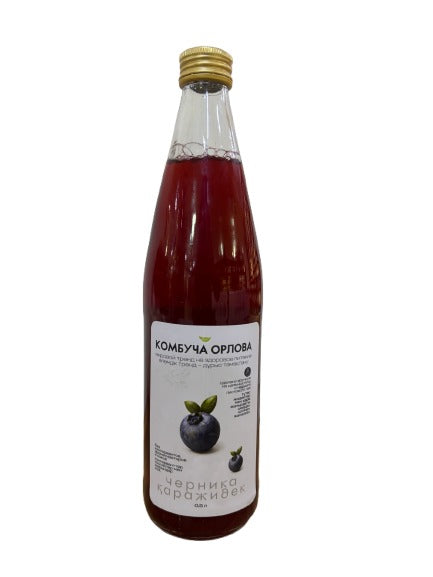 17% Ragout Камбуча Малина, шт