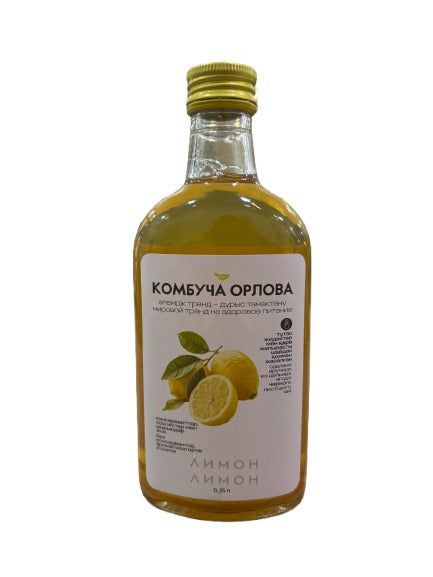 17% Ragout Камбуча Брусника , шт