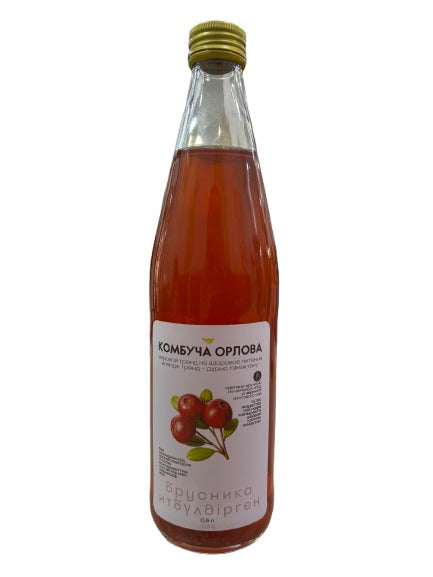 17% Ragout Камбуча Лимон, шт