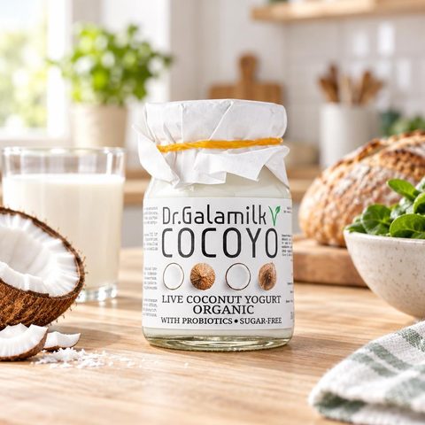 Galamilk Кокосовый йогурт 100гр